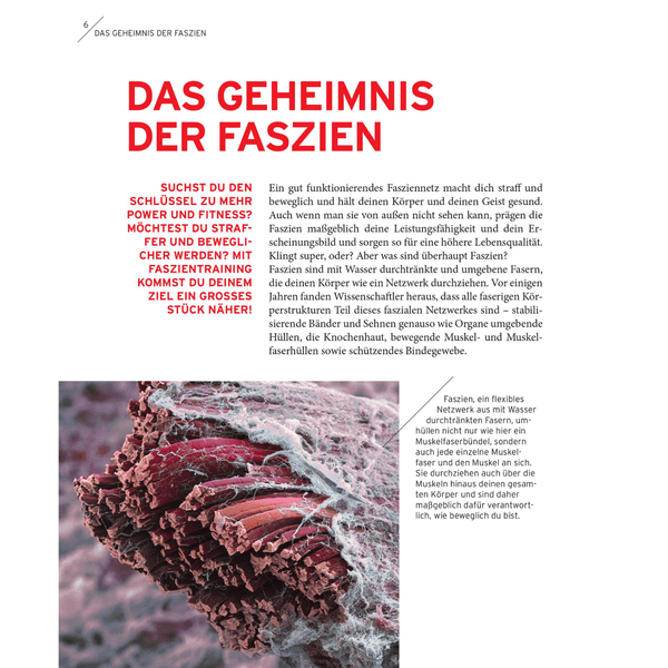 Faszien. Tuning.