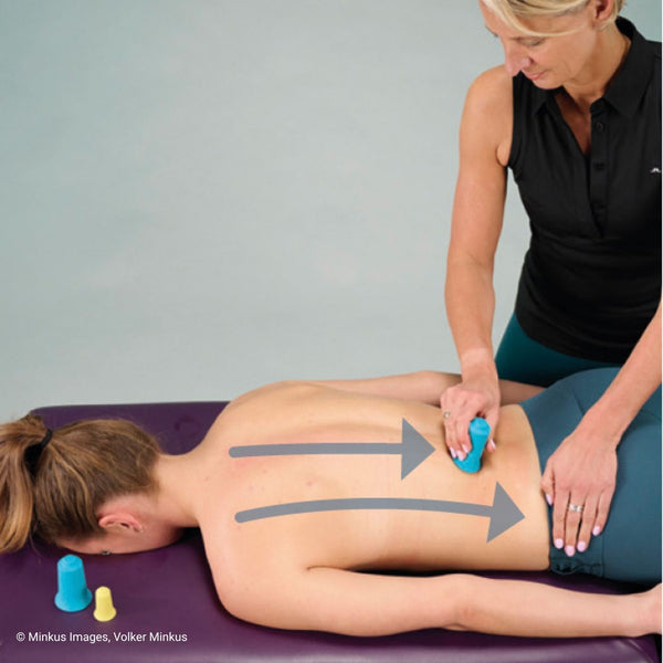 Le grand livre des fascias