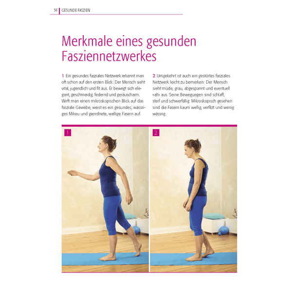 Entraînement des fascias