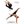 Fascia fitness