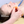 Cupping Starter Bundle