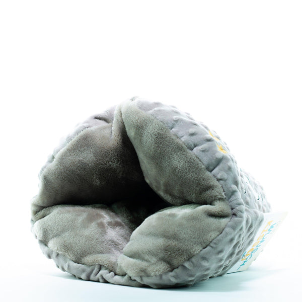 Wish pillow